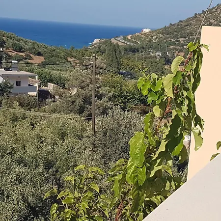Sea Flower Bali Crete Vlikhadha